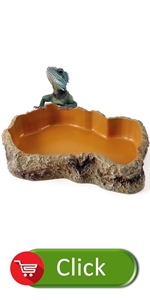 reptile bowl rock texture water food dish feeder