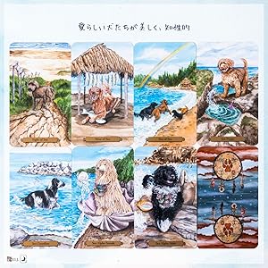【正規品タロットカード】入手困難台湾インディーズ レア物✨犬がモチーフのデッキ 正規品タロットカード】入手困難台湾インディーズ レア物✨犬が