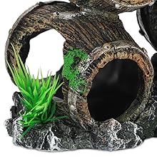 hermit crab sponge crabs, molly, neon tetras, clam, snails, cichlid, dwarf fish, plecostomus, bettas