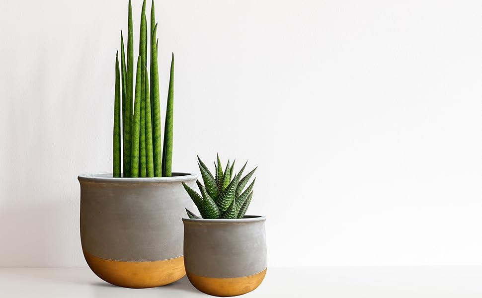 gold dip ceramic plant pots