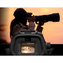 nikon z6 iii mirrorless camera