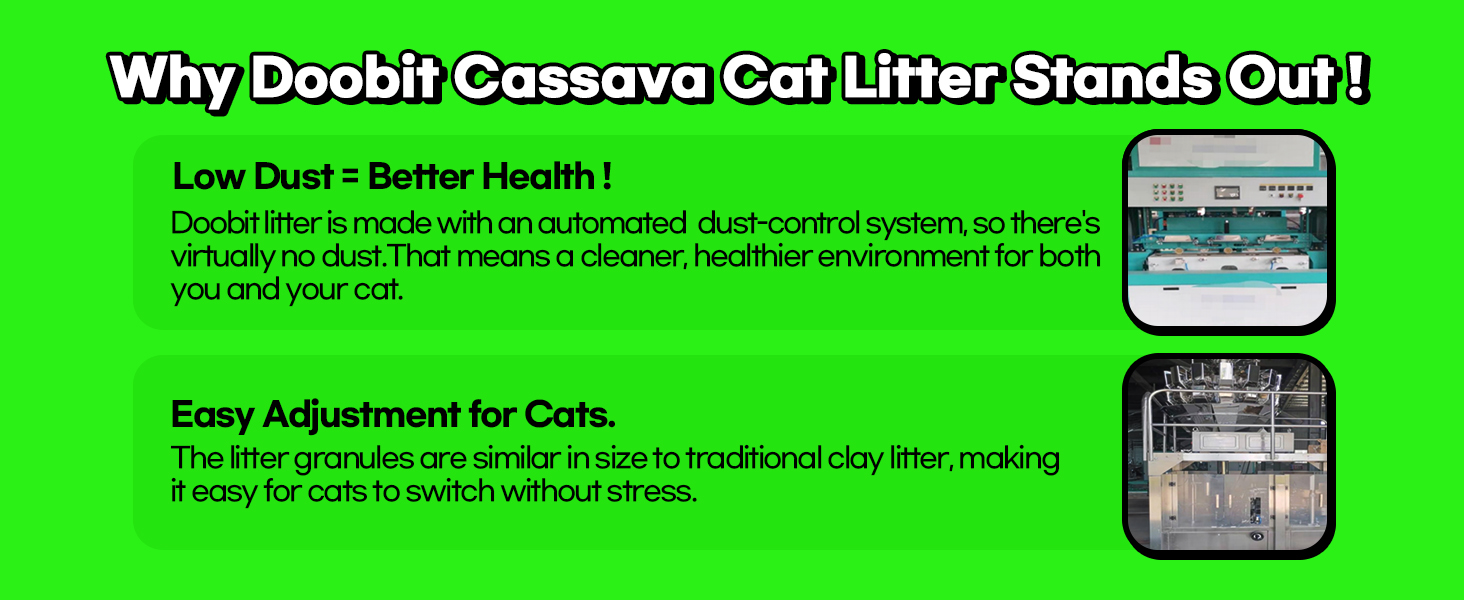 cassava cat litter stands out