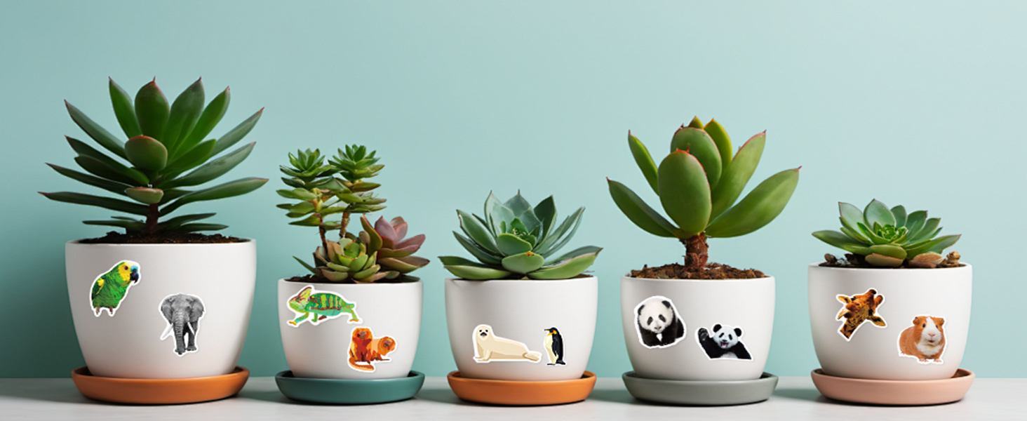 cute stickers kawaii