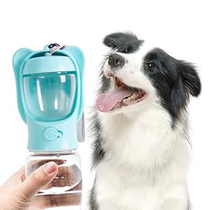 pet water bottle