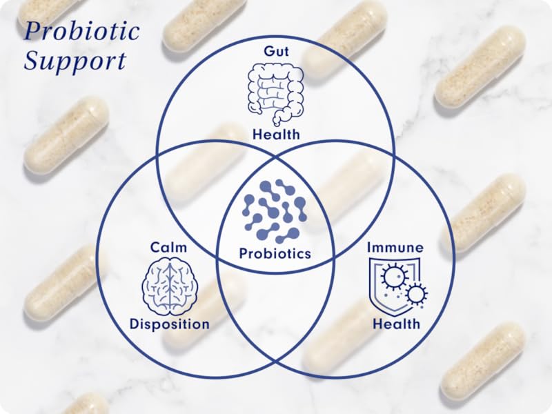 Cat Probiotic Powder