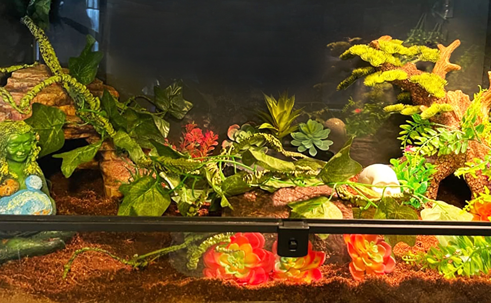 Beleuchtetes Aquarium mit lebenden Pflanzen, dekorativen Elementen und lebendiger Beleuchtung, die eine Unterwasserlandschaft schaffen.