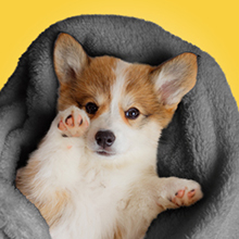heated throw