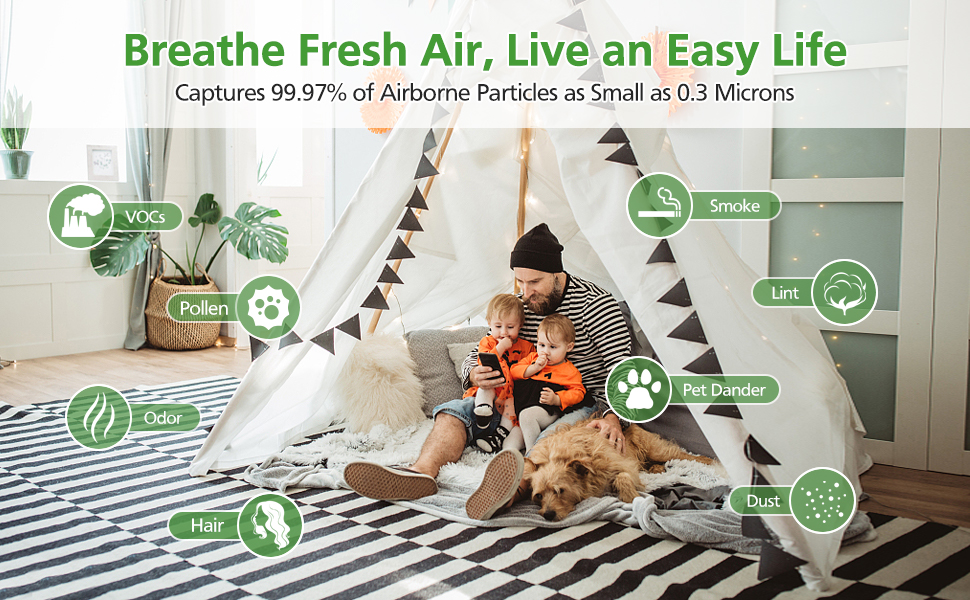 WILERDA Hepa Replacement Filters Compatible with Proton