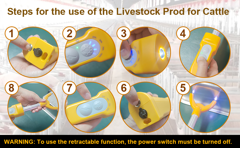 Livestock Prod for Cattle