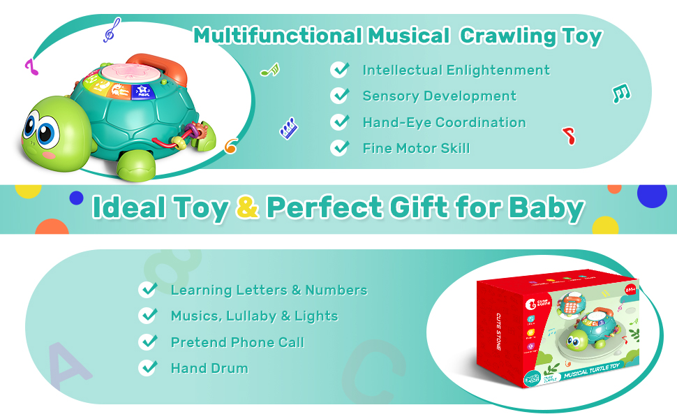 cute stone Baby Learning Toy Musical Turtle Toy with Lights & Sounds, Early Educational