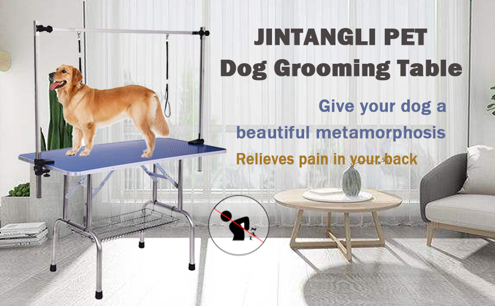 Amazon.com: JINTANGLI PET Dog Pet Grooming Table for Large