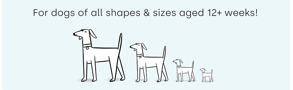 For all dogs &amp;amp;amp;amp;amp;amp; puppies