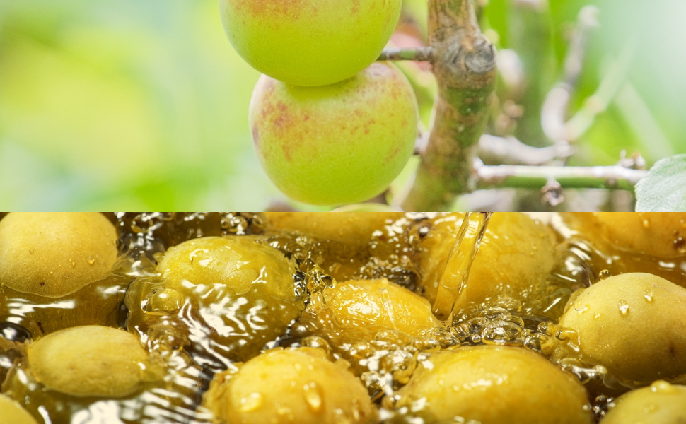 梅うめ アミノバイタル（amino VITAL）（メンズ、レディース）MOMENT 梅