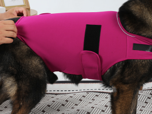 calming vest for dogs