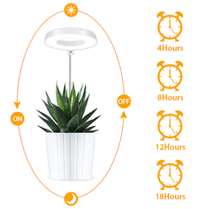 timer grow light for indoor plants