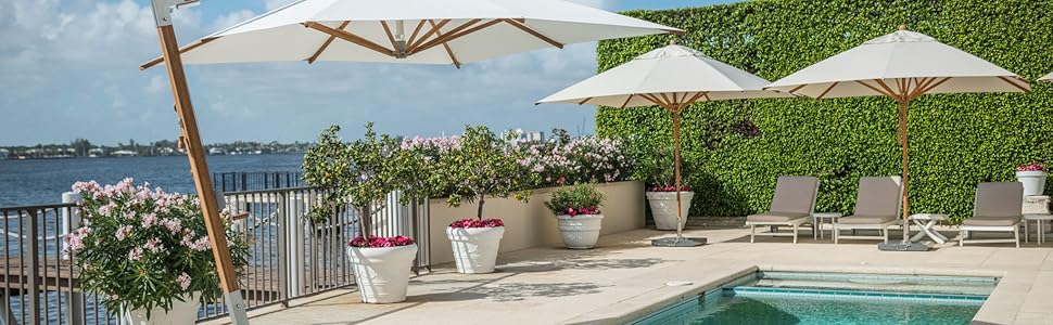 pool with umbrellas