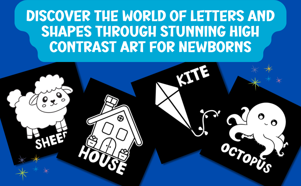 Discover the world of letters and shapes