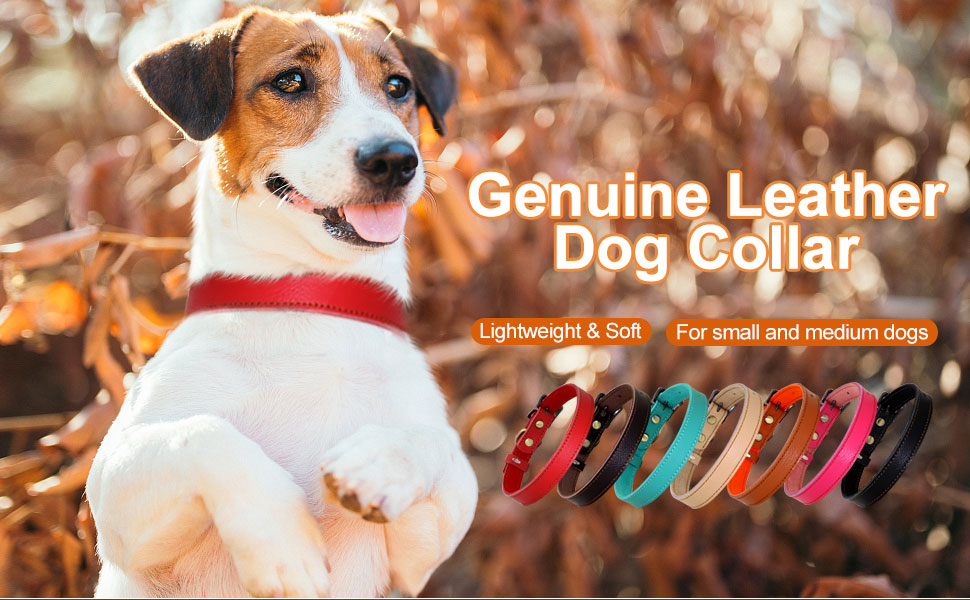 PET ARTIST Genuine Leather Dog Collar, Lightweight & Soft
