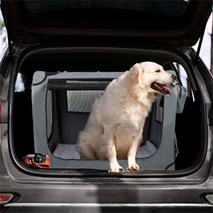 portable dog crate