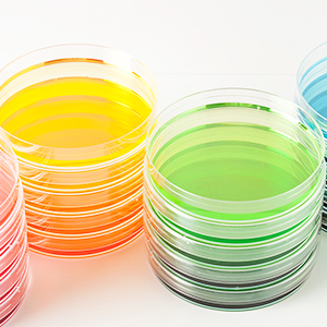 Small manufacture image 2