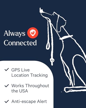 dog gps tracker
