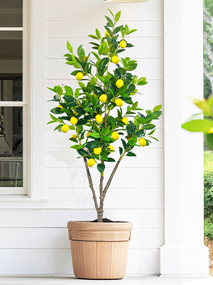 faux lemons decor;realistic living room decor;office decor;faux plants indoor; faux trees indoor