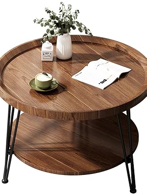 Round wooden coffee table with black metal legs. Top surface holds plant, cup, and paper. Lower shelf visible.
