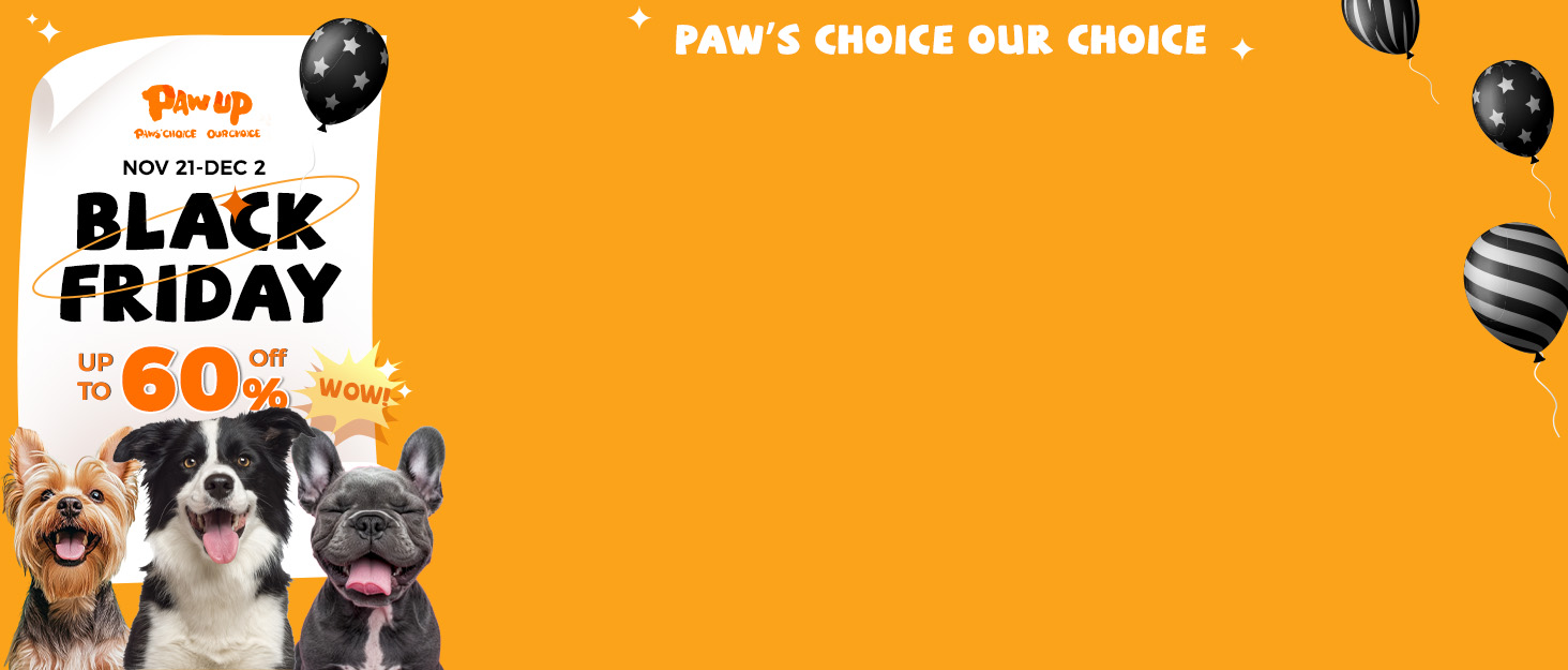 dog treat pet treats