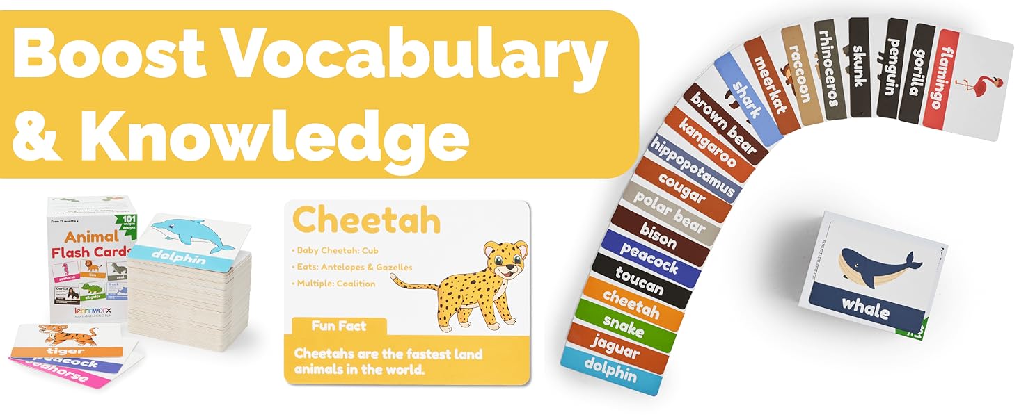 Learn with me flash cards