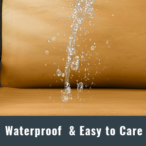 Waterproof 2-Seat Couch