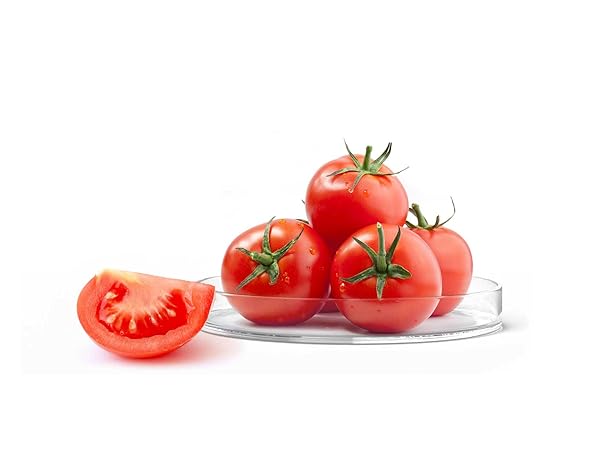 LYCOPENE