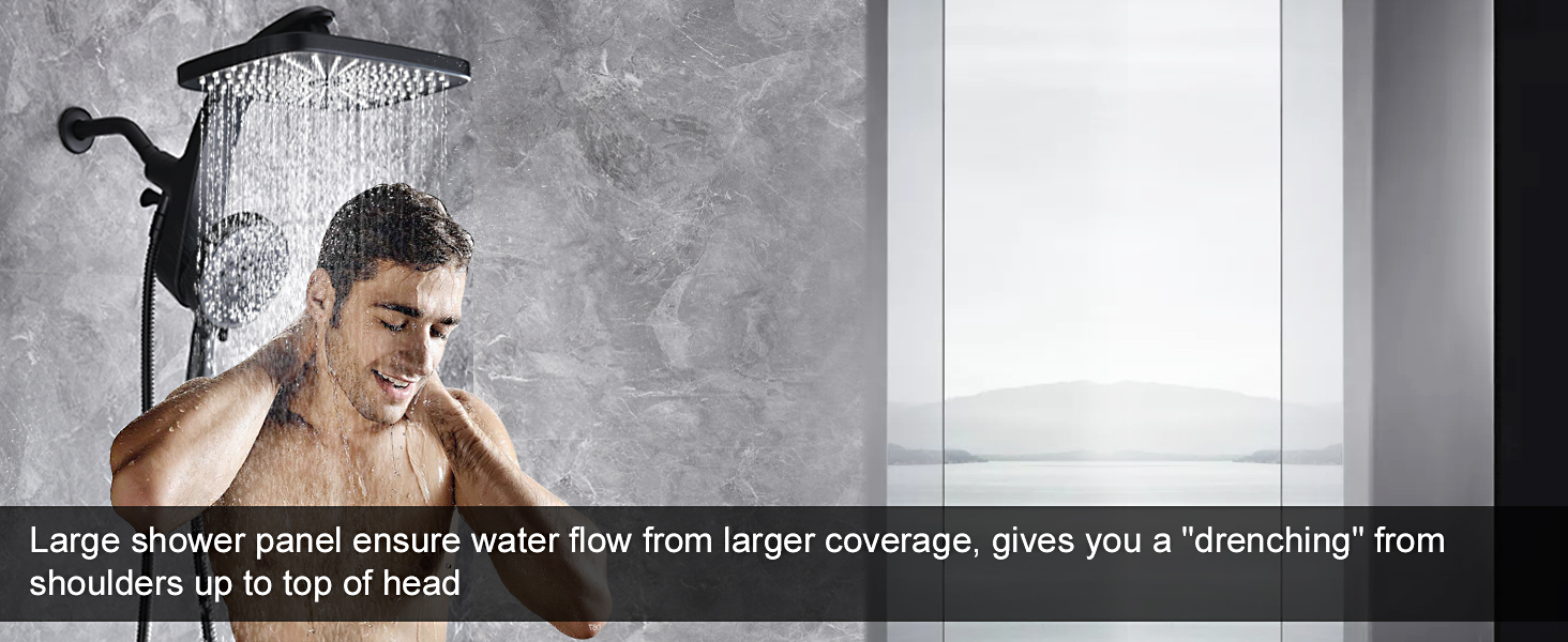 shower head with handheld spray