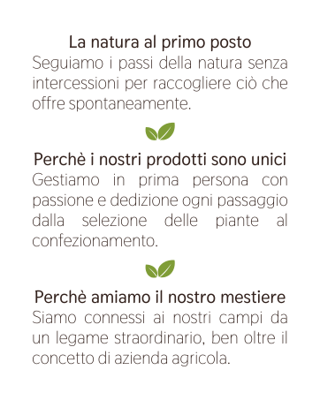 testo descrizione etica aziendale