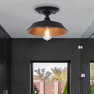 Flush Mount Ceiling Light Fixture