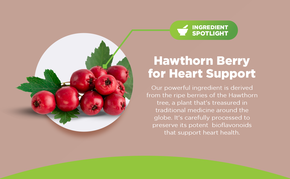 Extra Strength Hawthorn Berry Capsules Hawthorn