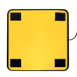 Digital Receiving Scale