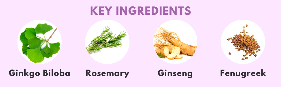Memory booster natural brain support supplement key ingredients