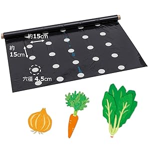 たまねぎ　ME.LU 1セットずつ合計2セット Amazon.co.jp: 岩谷マテリアル イワタニ菜園穴あき黒マルチ たまねぎ用