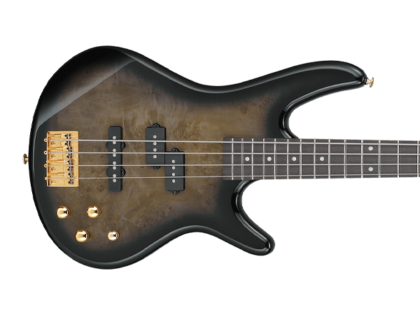 Amazon.com: Ibanez Gio GSR200PC 4-String Right-Handed