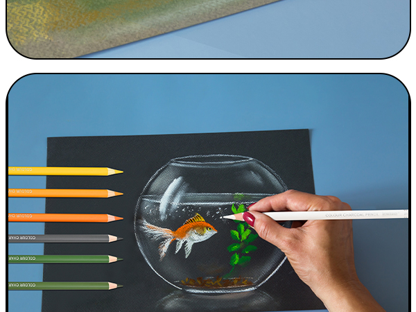 Color Charcoal Pencils