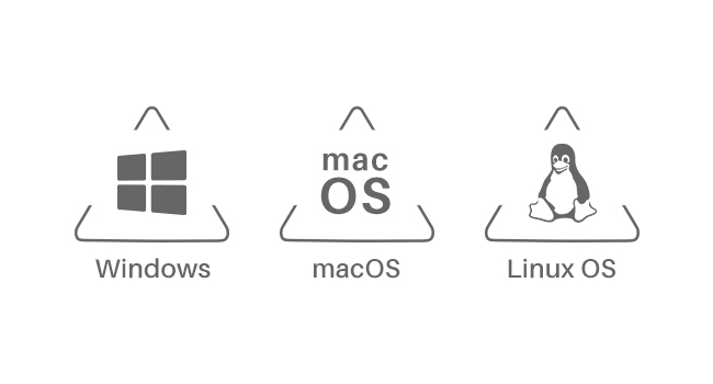 system