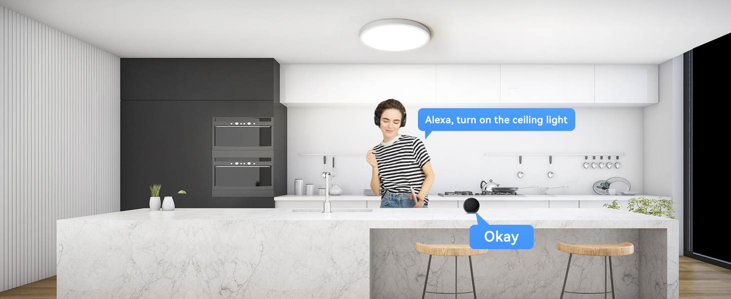 flush mount ceiling light