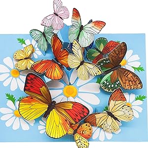 liif butterfly 3d greeting pop up card mothers day mom her wife thinking of you sympathy