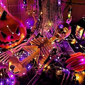 Halloween Decorations