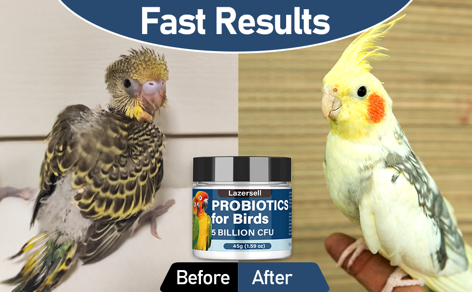 probiotic for parrots