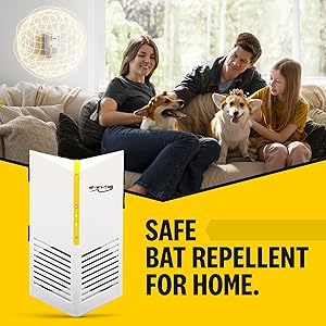 Safe to use around kids and non-rodent pets