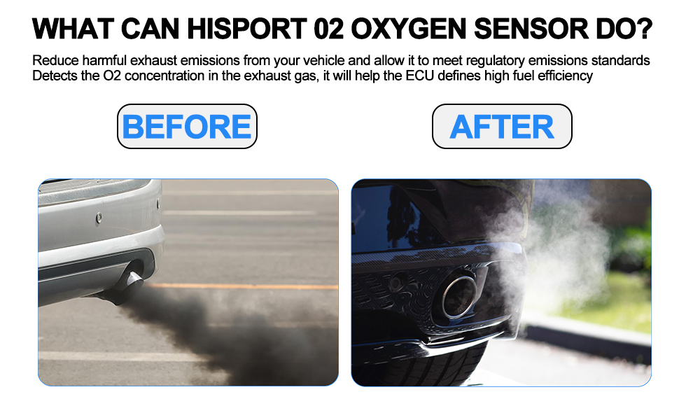 What can our oxygen sensor bring you