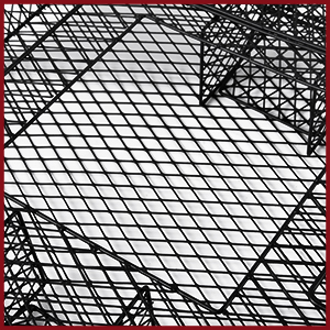 AMVOG Squrril Traps - 3 
