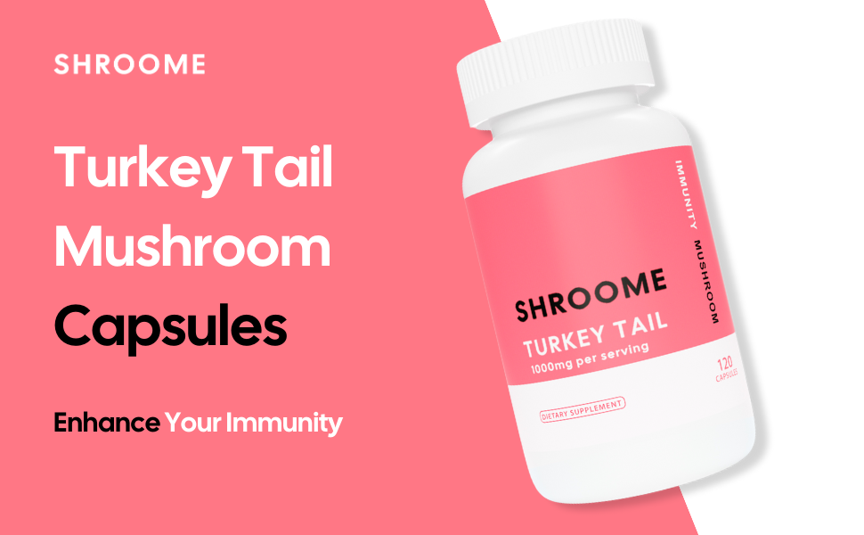 Turkey Tail Mushroom Capsules 