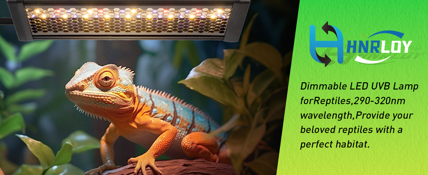 UVB Light for Reptiles